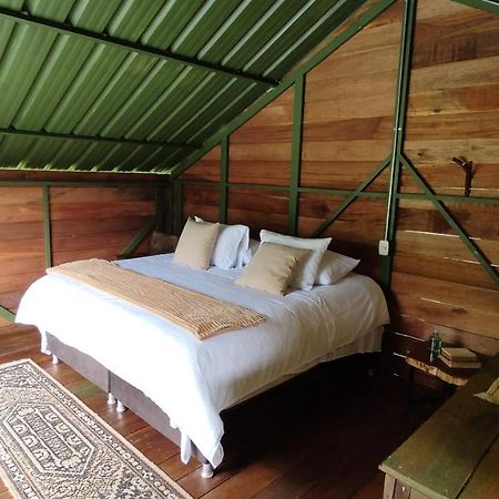 Ecohotel Pinohermoso Reserva Natural Salento Dış mekan fotoğraf