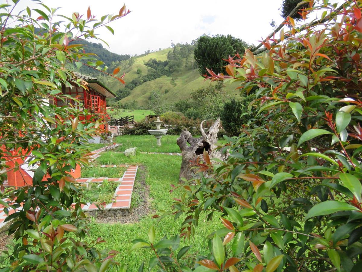 Ecohotel Pinohermoso Reserva Natural Salento Dış mekan fotoğraf