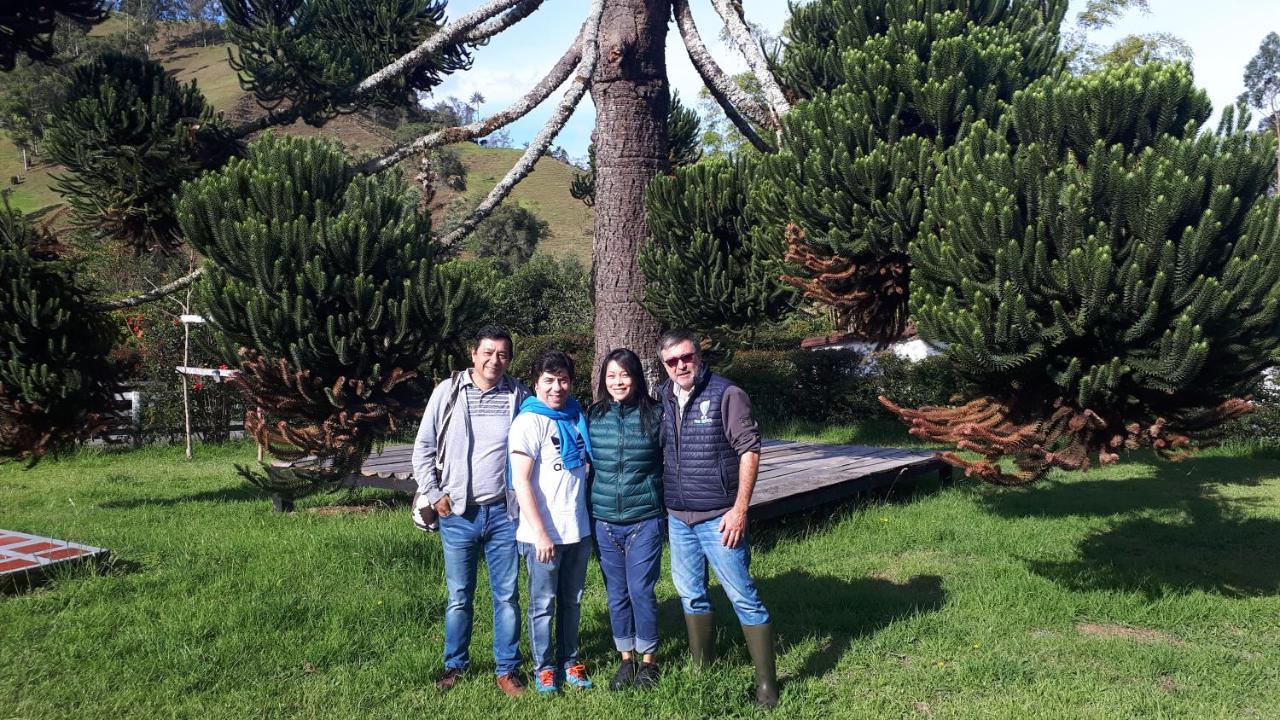 Ecohotel Pinohermoso Reserva Natural Salento Dış mekan fotoğraf