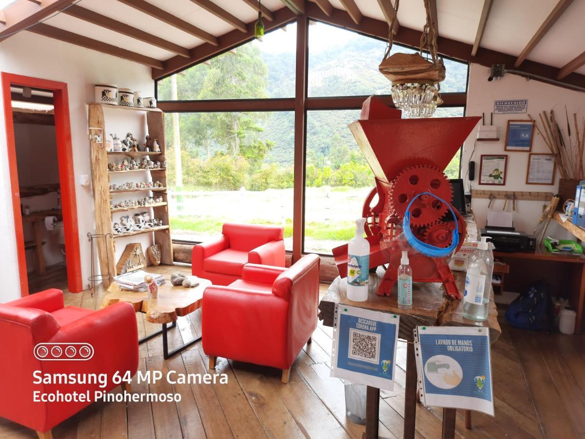 Ecohotel Pinohermoso Reserva Natural Salento Dış mekan fotoğraf
