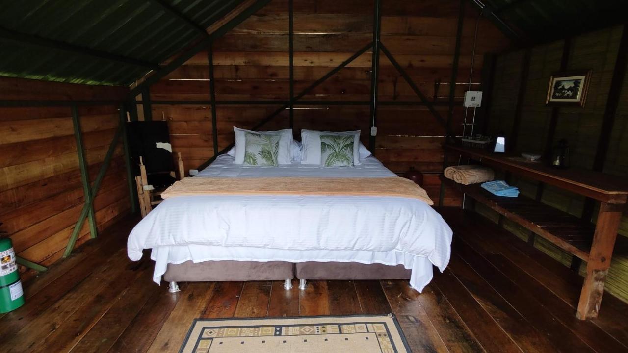 Ecohotel Pinohermoso Reserva Natural Salento Dış mekan fotoğraf