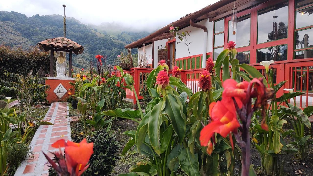 Ecohotel Pinohermoso Reserva Natural Salento Dış mekan fotoğraf