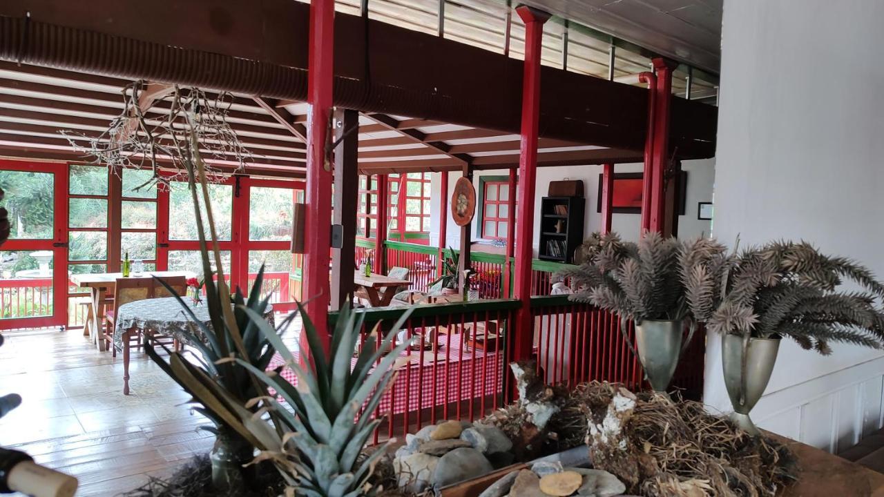 Ecohotel Pinohermoso Reserva Natural Salento Dış mekan fotoğraf