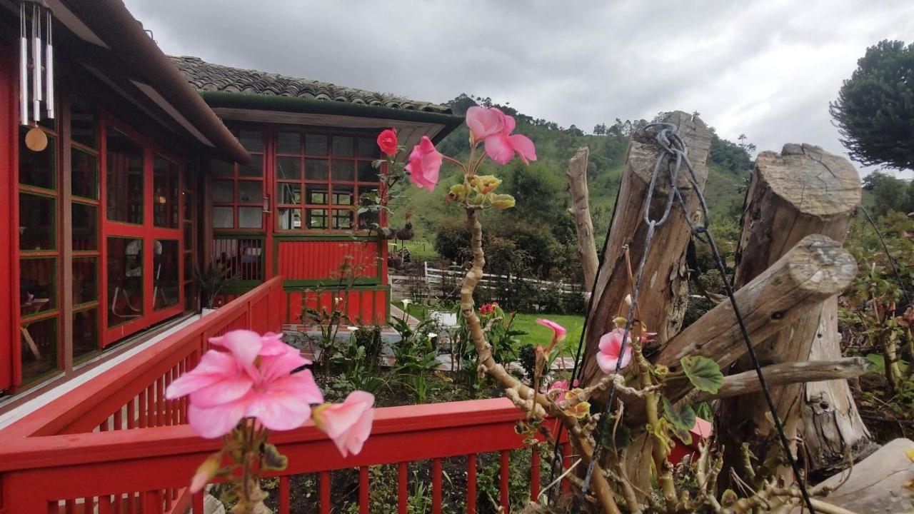 Ecohotel Pinohermoso Reserva Natural Salento Dış mekan fotoğraf