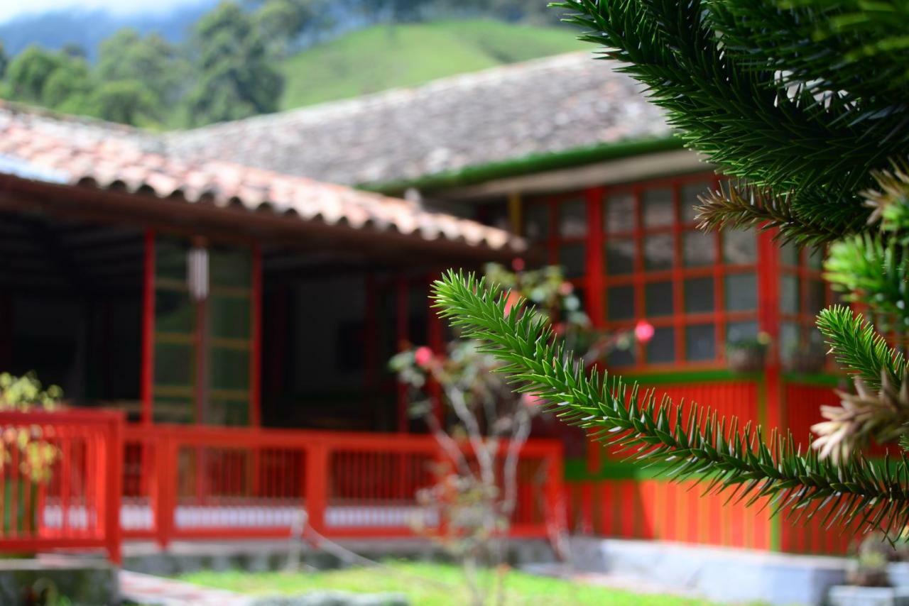 Ecohotel Pinohermoso Reserva Natural Salento Dış mekan fotoğraf