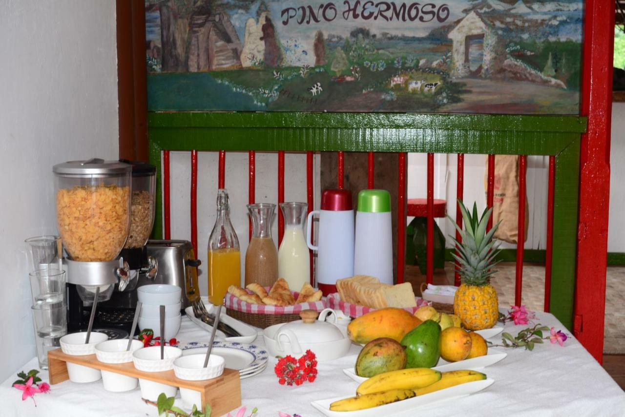 Ecohotel Pinohermoso Reserva Natural Salento Dış mekan fotoğraf