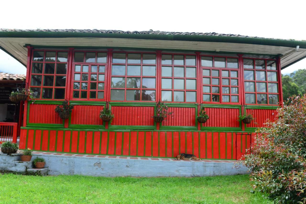 Ecohotel Pinohermoso Reserva Natural Salento Dış mekan fotoğraf