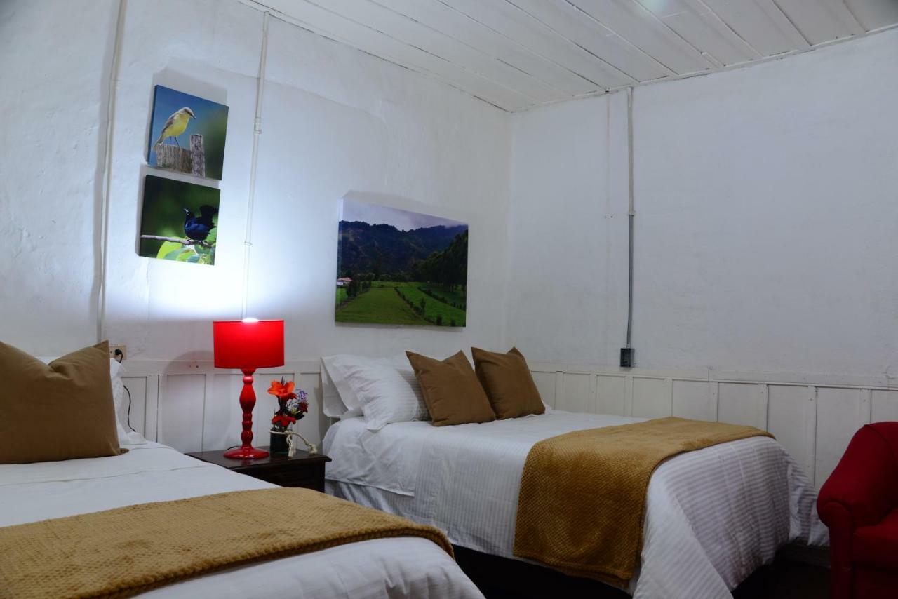 Ecohotel Pinohermoso Reserva Natural Salento Dış mekan fotoğraf