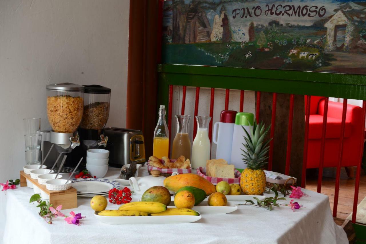 Ecohotel Pinohermoso Reserva Natural Salento Dış mekan fotoğraf