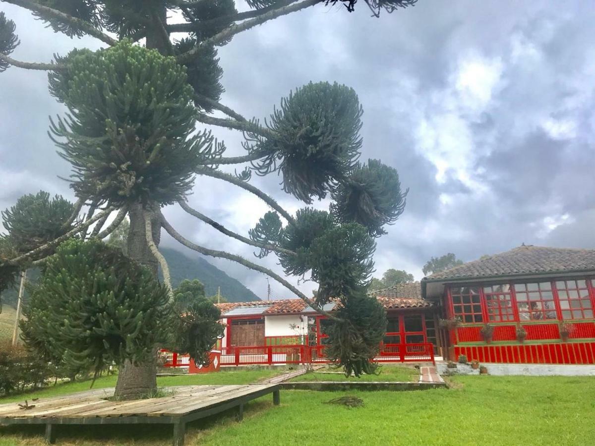 Ecohotel Pinohermoso Reserva Natural Salento Dış mekan fotoğraf