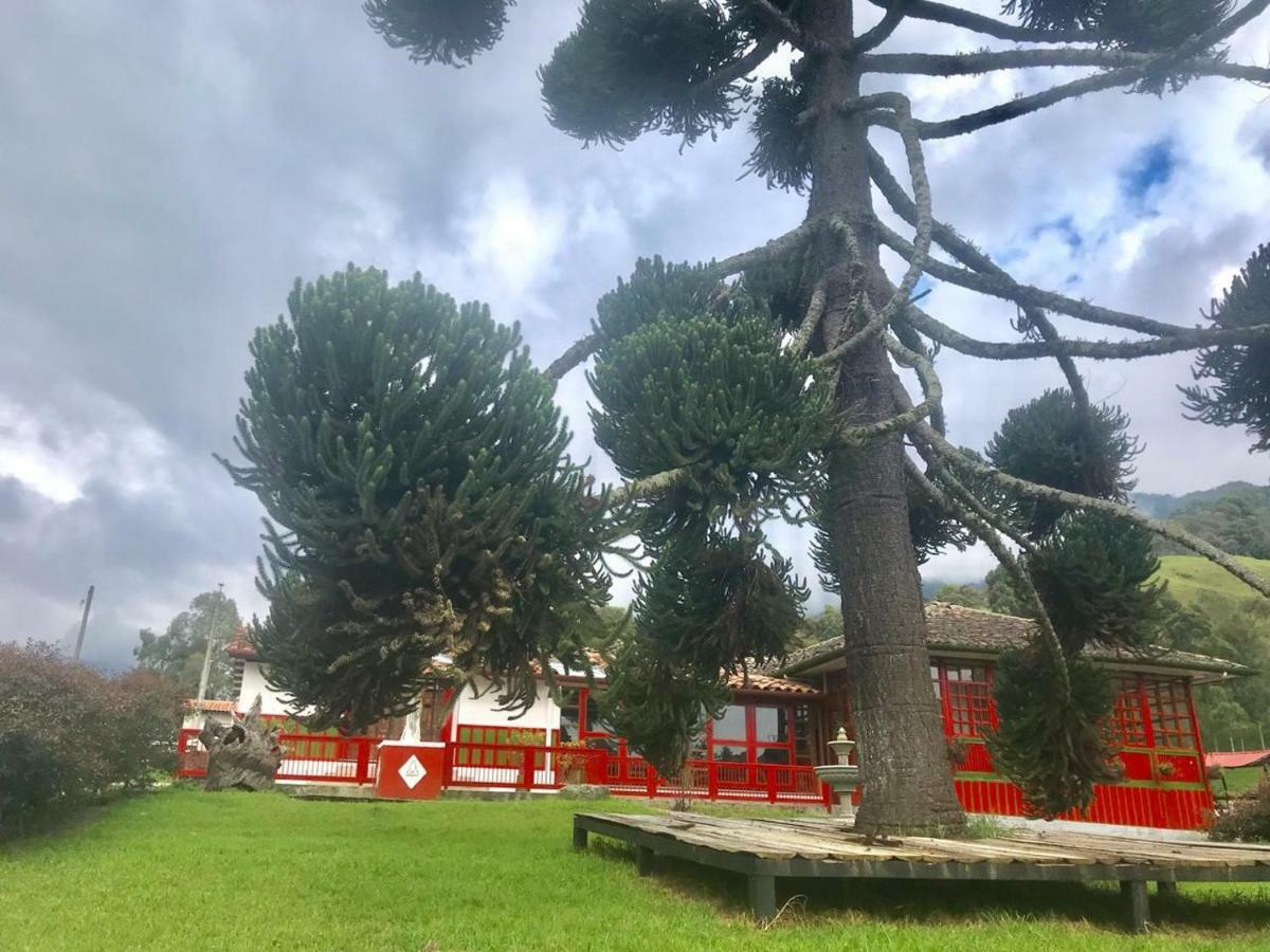Ecohotel Pinohermoso Reserva Natural Salento Dış mekan fotoğraf