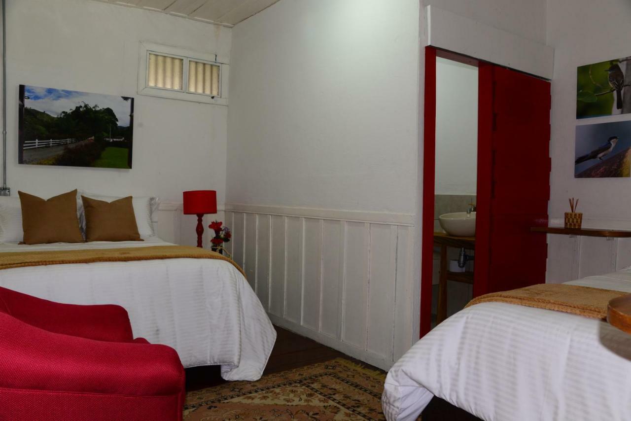 Ecohotel Pinohermoso Reserva Natural Salento Dış mekan fotoğraf